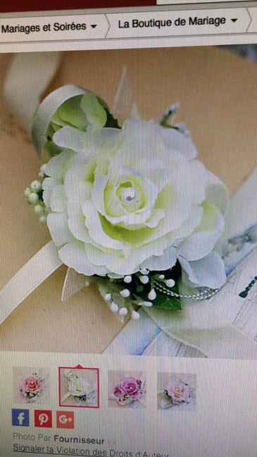  Alternative au bouquet .... - 1