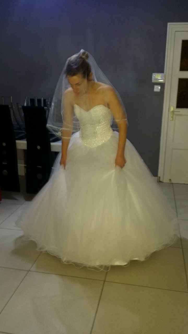 Et les oscars sont attribués à... - 1