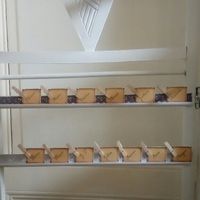  Dernière ligne droite ! - 2