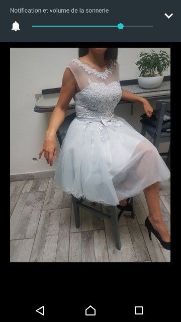 Problème avec le choix de robe de ma témoin.. - 1