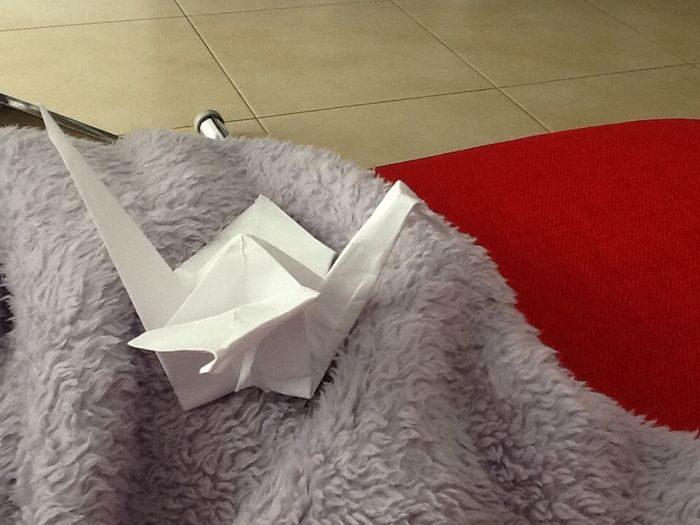 Premier essai grue