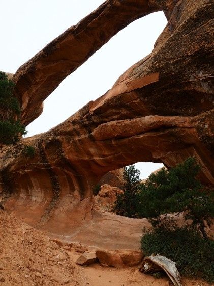 Arches National Park
