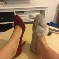 à la recherche de chaussure plate - 1