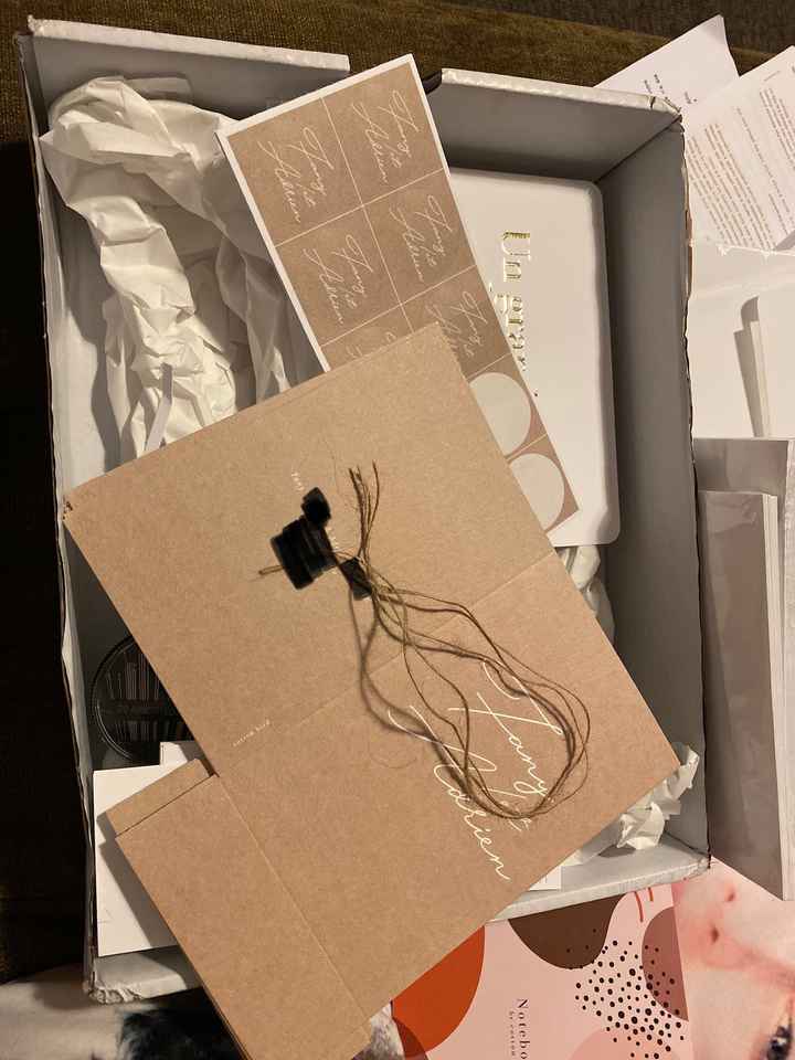 Faire parts cottonbird 🥰 - 1