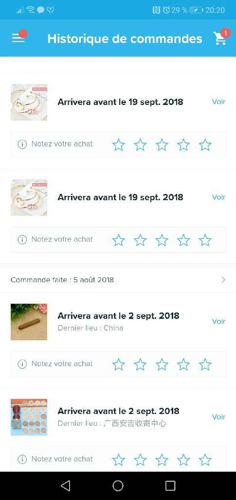 nos achats action ~ aliexpress ~ wish - 4