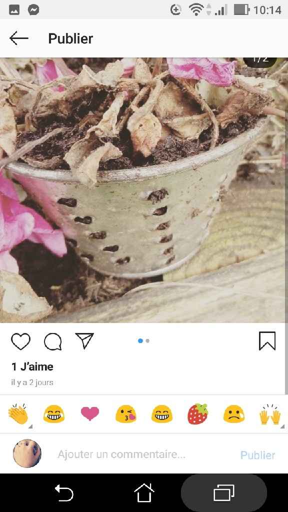 Mon livre d'or thème bohème - 1