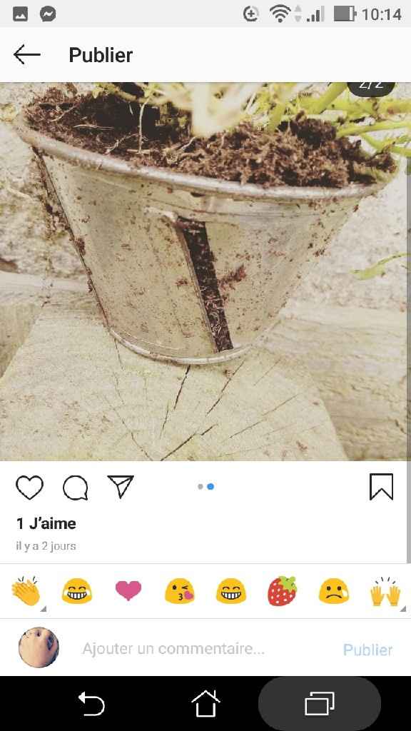 Mon livre d'or thème bohème - 2