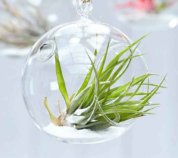 Nous nous marions le 14 Septembre 2019 - Haute-marne - 4