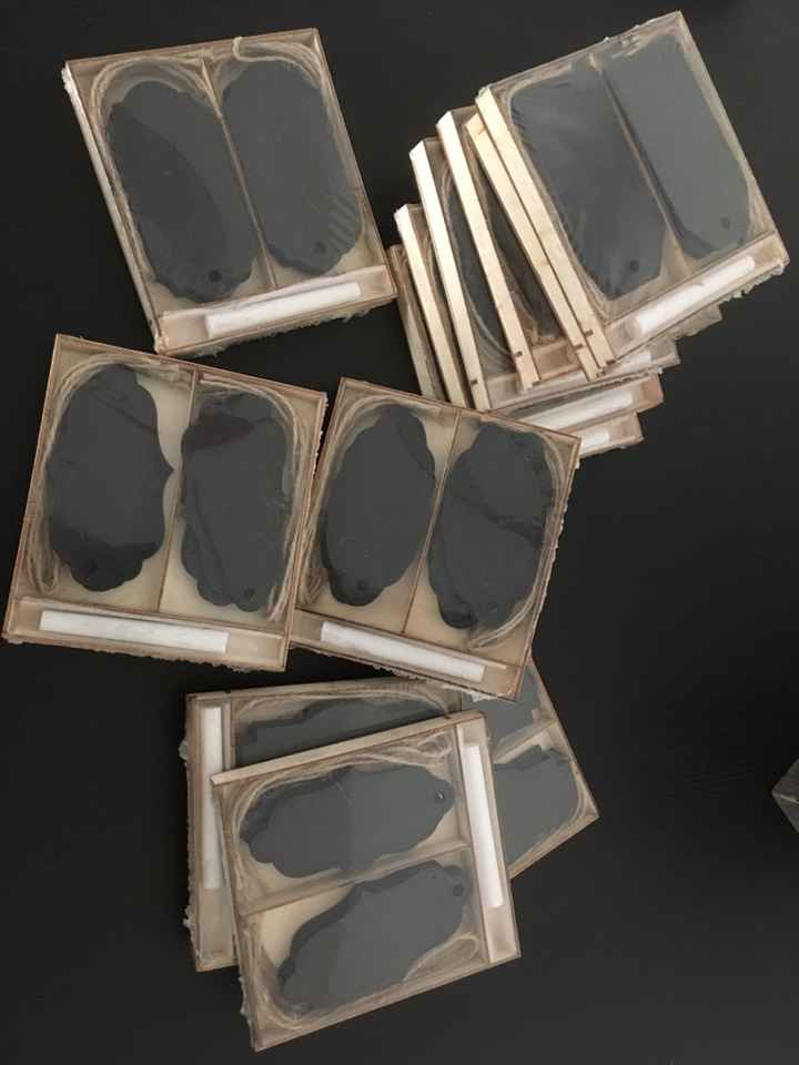 Premier achat + colis save the date reçu !!! - 1