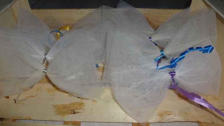 noeuds voitures invités