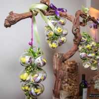 Dragées en forme de grappe