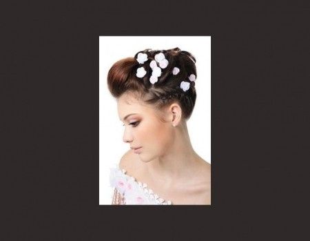 le style de coiffure que je cherche ... 
