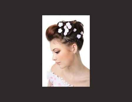 le style de coiffure que je cherche ... 