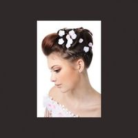 le style de coiffure que je cherche ... 