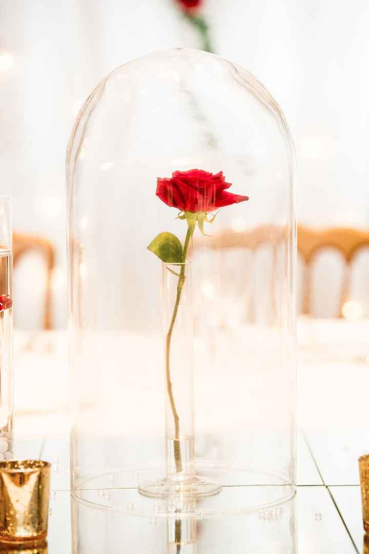 Rose sous cloche
