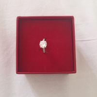  Demande en mariage de dingue - 1