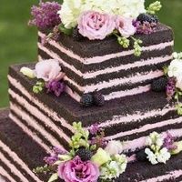 Naked cake