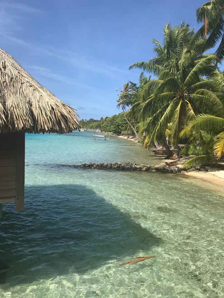 Retour de l’une de miel à Tahiti - 1