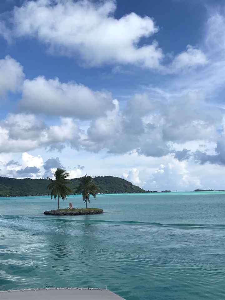 Retour de l’une de miel à Tahiti - 3