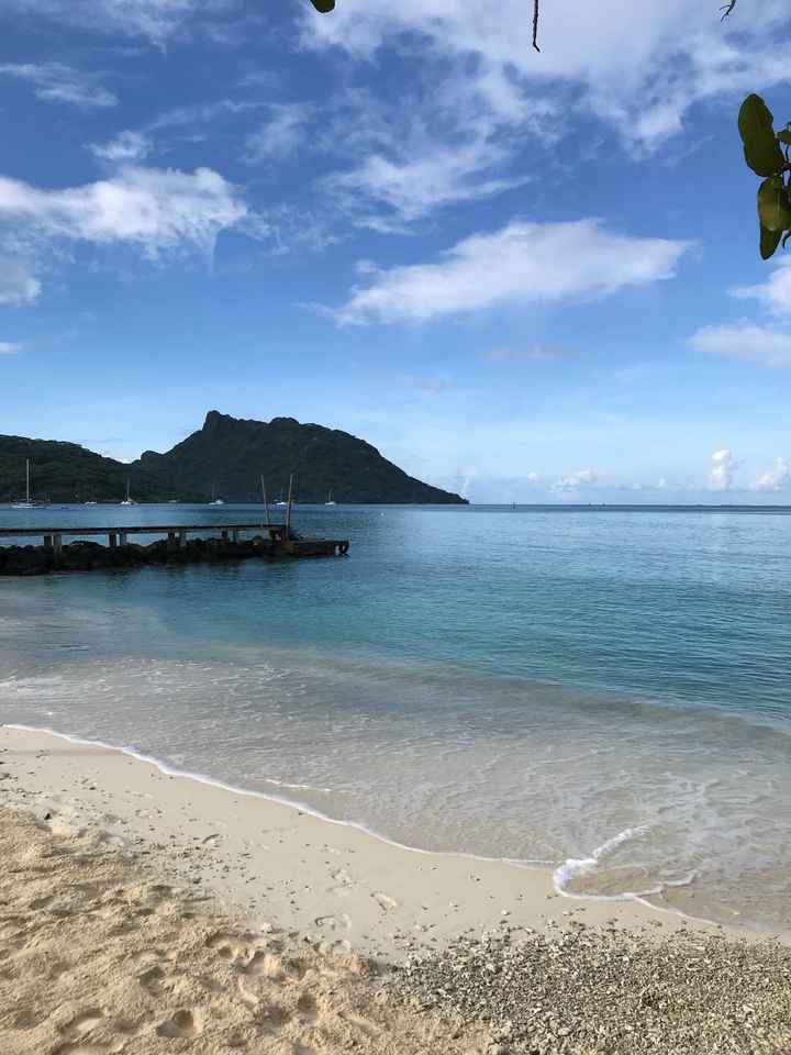 Retour de l’une de miel à Tahiti - 4