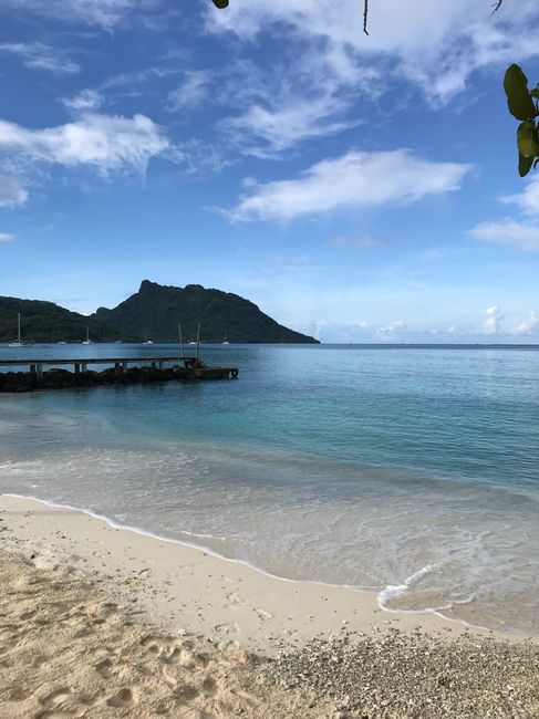 Retour de l’une de miel à Tahiti - 4