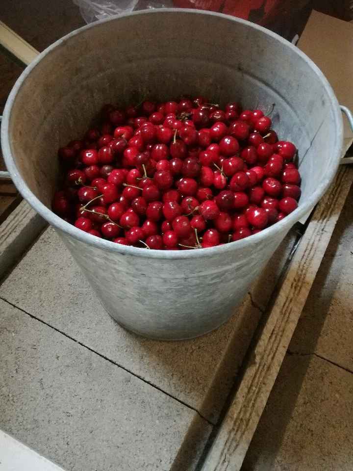 Cadeaux invités en cours ! - 1