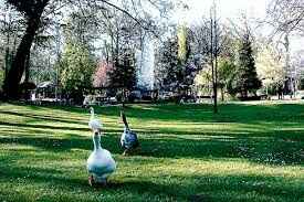 Lieu photos de couple - 3