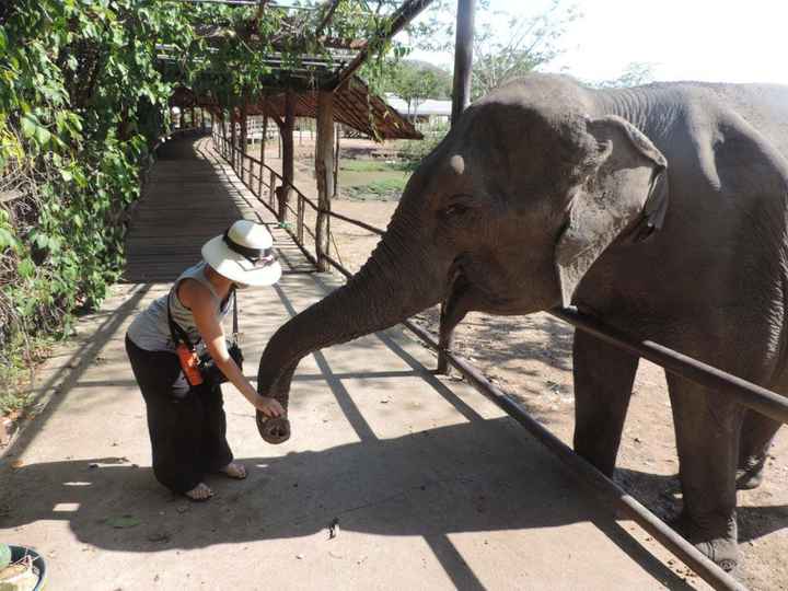 Voyage de noce thaïlande - 3