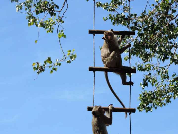 Voyage de noce thaïlande - 2