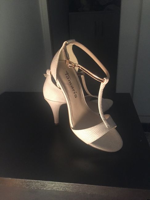 La paire de chaussures - 1