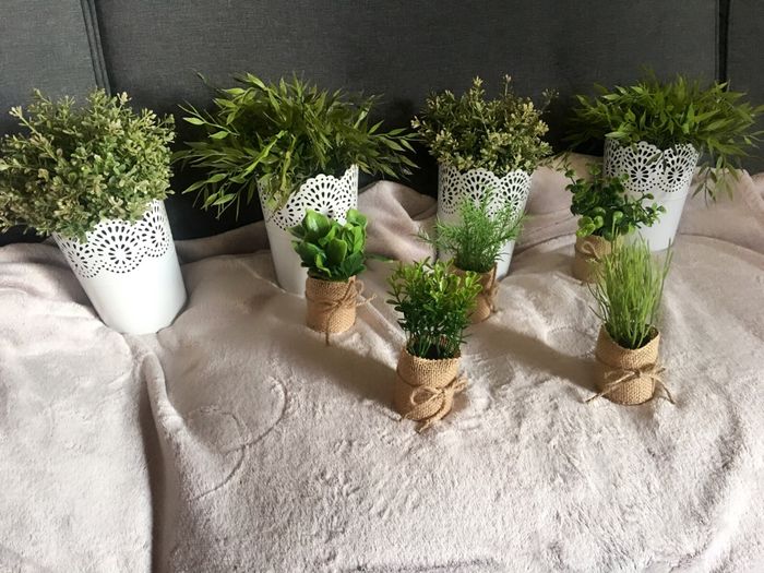 Premiers achats déco ! - 1