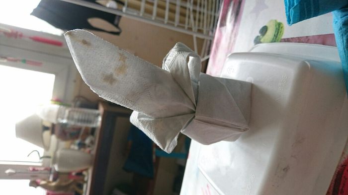 Pliage de serviettes - 3