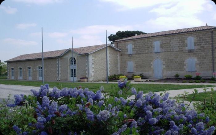 Deco salle des fetes 12