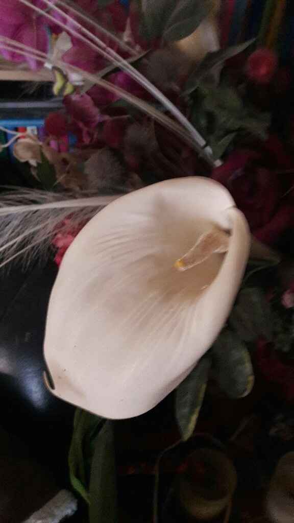 Fleurs - 2