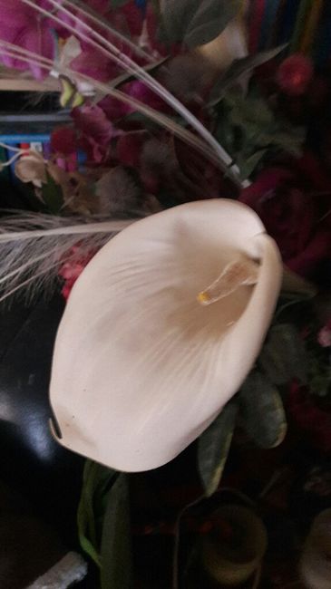 Fleurs - 2