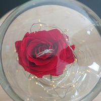 Bague de fiançailles - 1