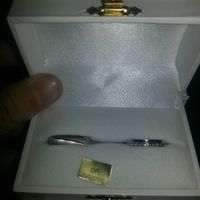 Photos de nos alliances regroupées! - 1