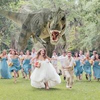Photo fun