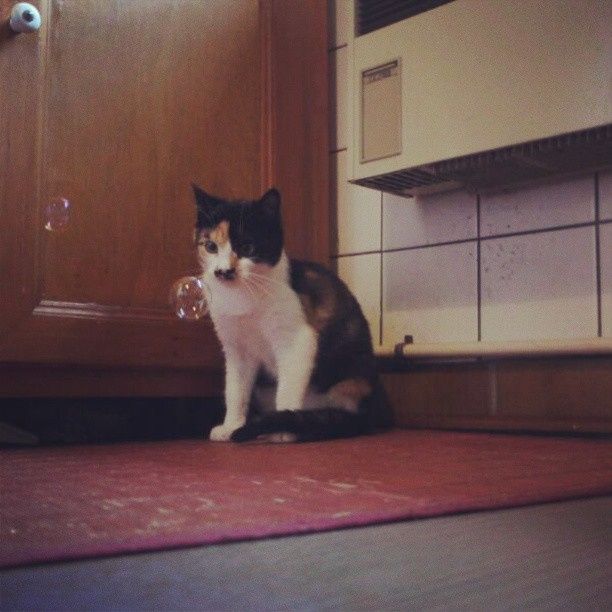 Notre bébé d'amour !
