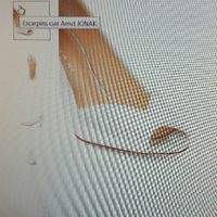  Confort ou coup de coeur? - 2