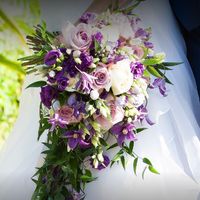 Fleurs séchées ou fraîches ? - 1