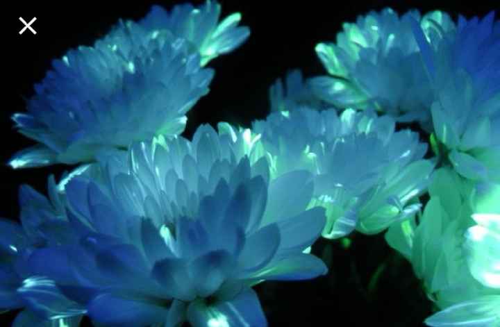 Et que sa brille hein !!! - 1