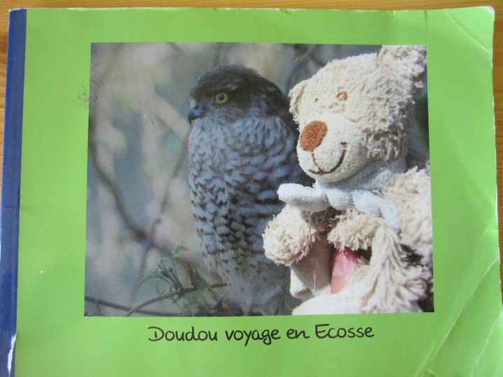 Doudou et l'oiseau après