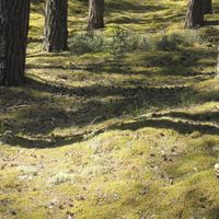 Doudou se cache 1_Avant