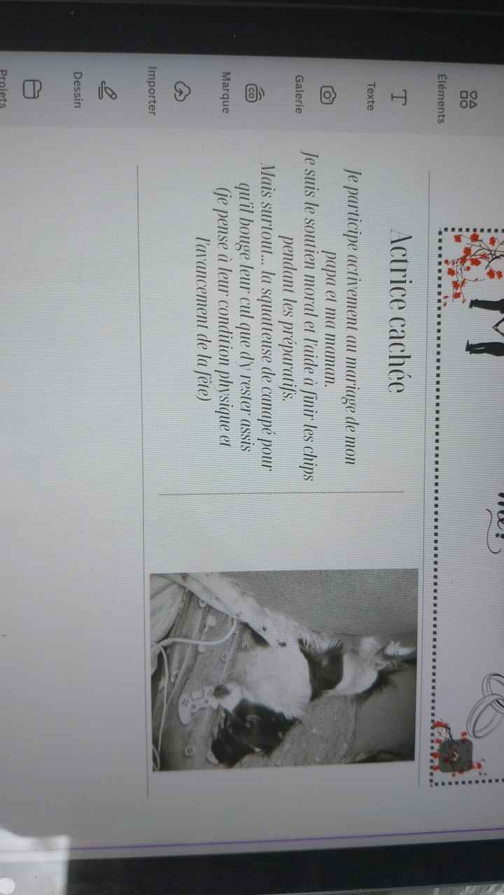 Gazette des mariés - 1