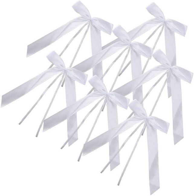 Décors voitures du cortège 3