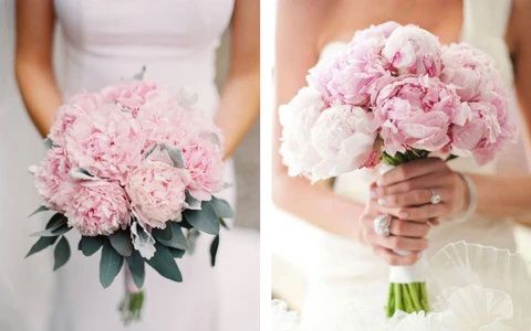Printemps : saison des pivoines - 2