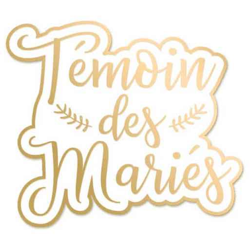 Quelle est la tranche d’âge de vos témoins ? - 1