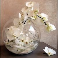 à la recherche de vase boule en verre 