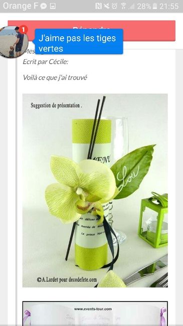 Thème orchidée - 2